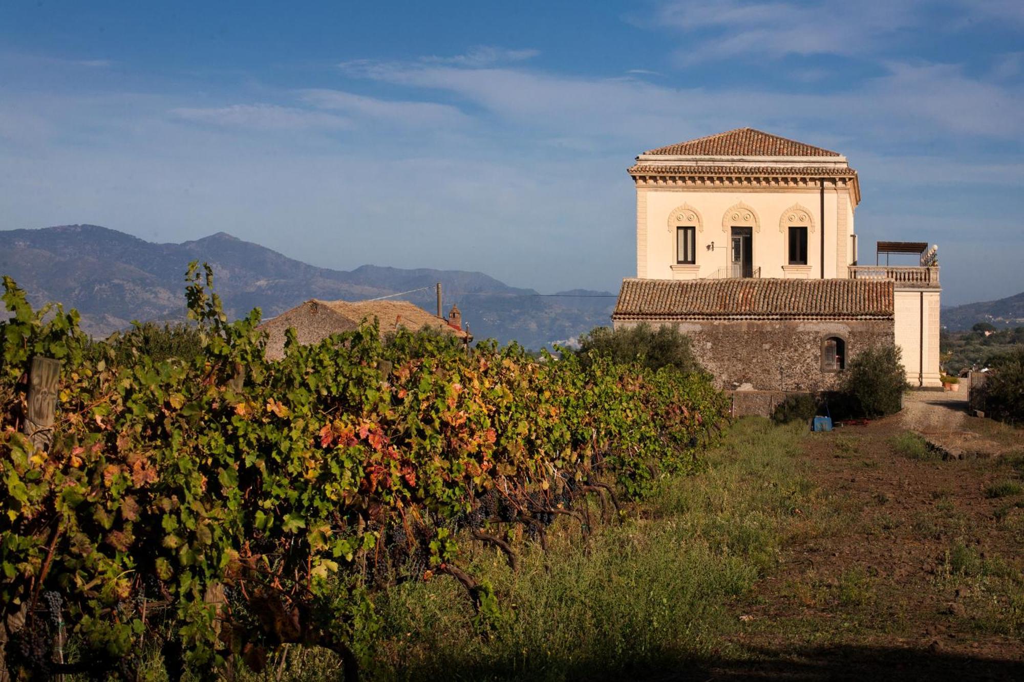 Feudo Vagliasindi -Wine Experience- Vendégház Randazzo Kültér fotó