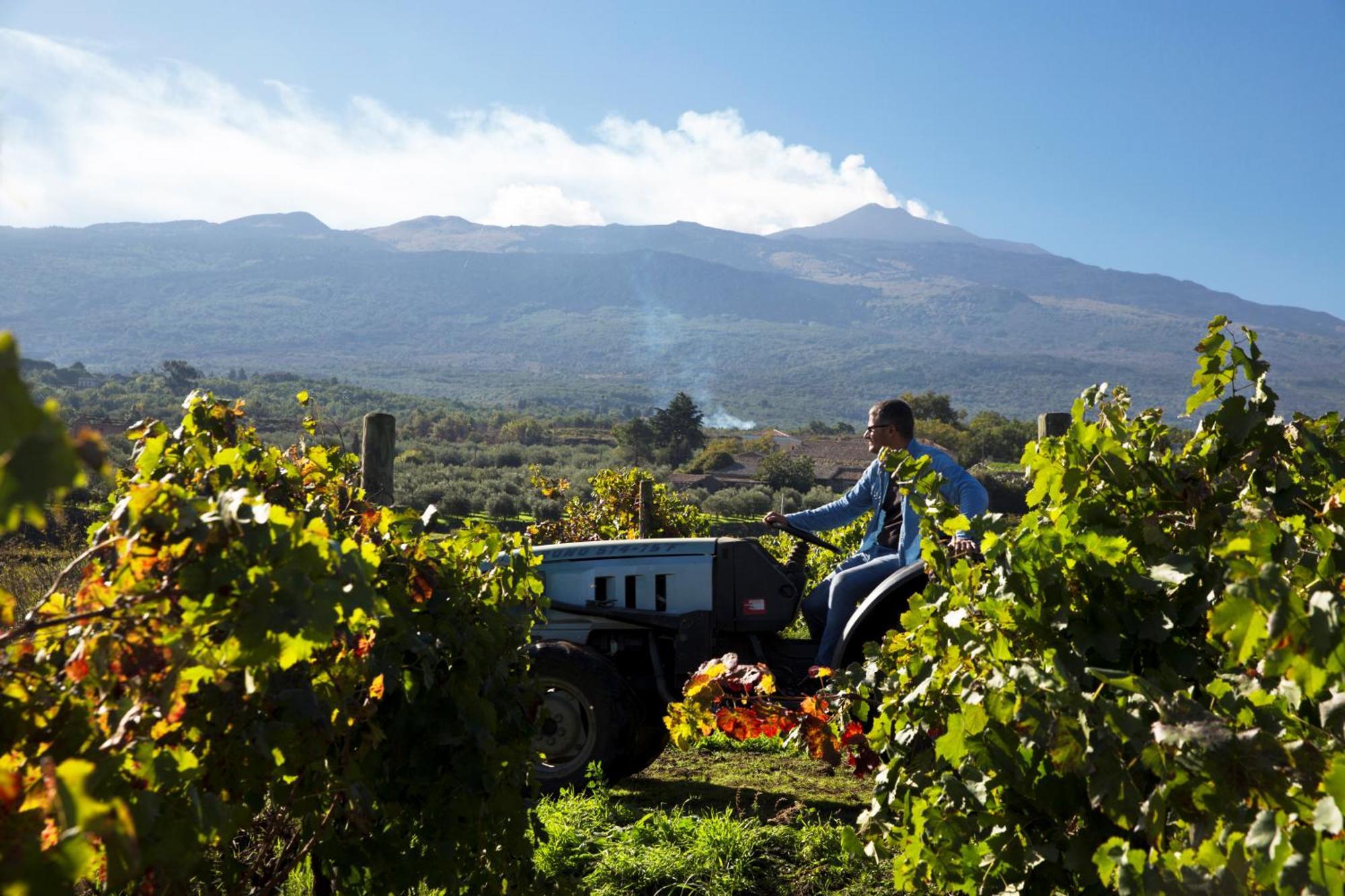 Feudo Vagliasindi -Wine Experience- Vendégház Randazzo Kültér fotó