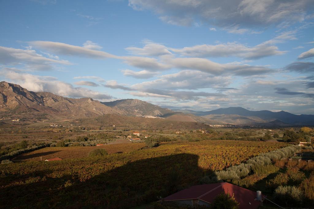Feudo Vagliasindi -Wine Experience- Vendégház Randazzo Kültér fotó
