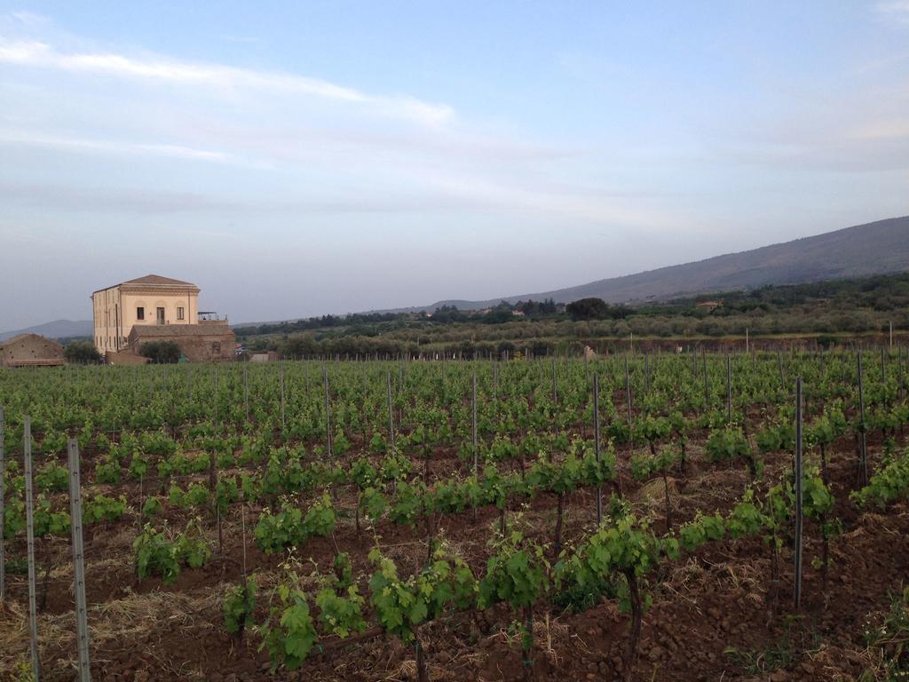 Feudo Vagliasindi -Wine Experience- Vendégház Randazzo Kültér fotó